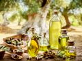 Titelbild für Olivenernte in Istrien