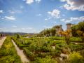 Titelbild für Toskana – Villen und Gärten